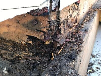 Professional water damage restoration services in Bell - Pinnlyra Arch
